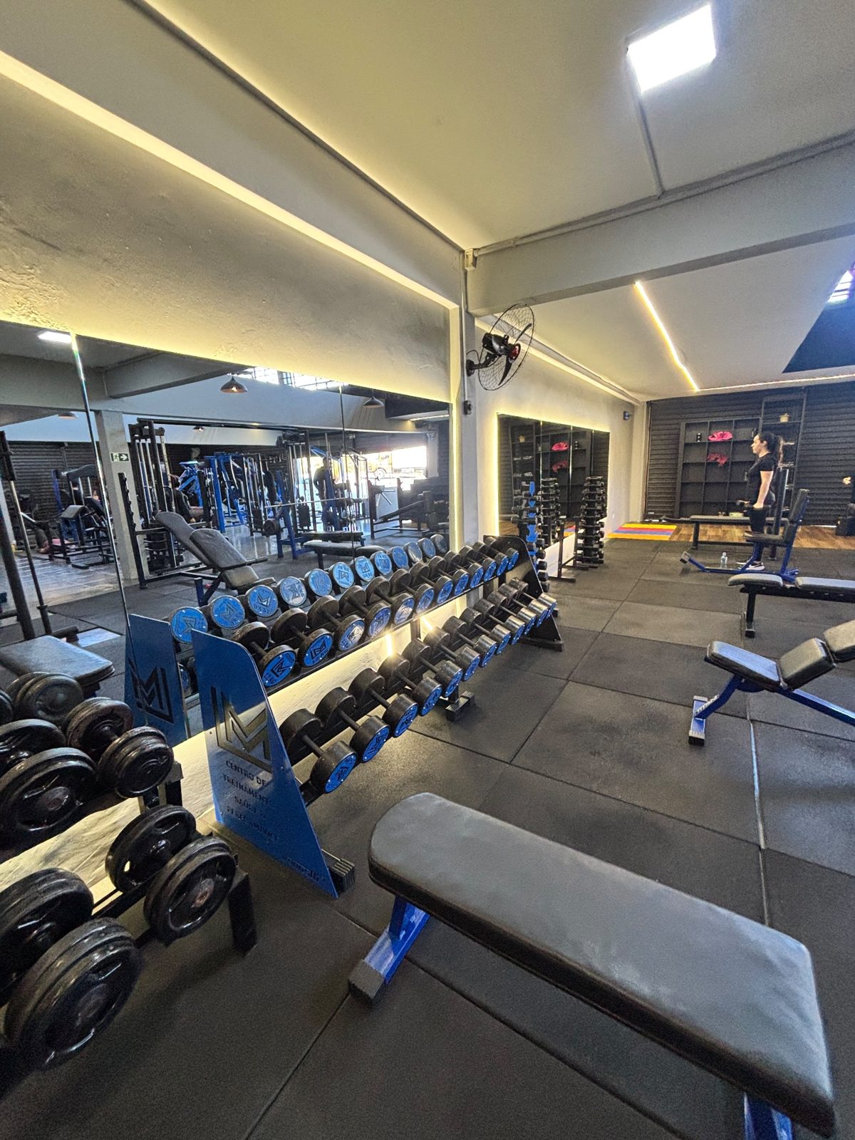 Musculação